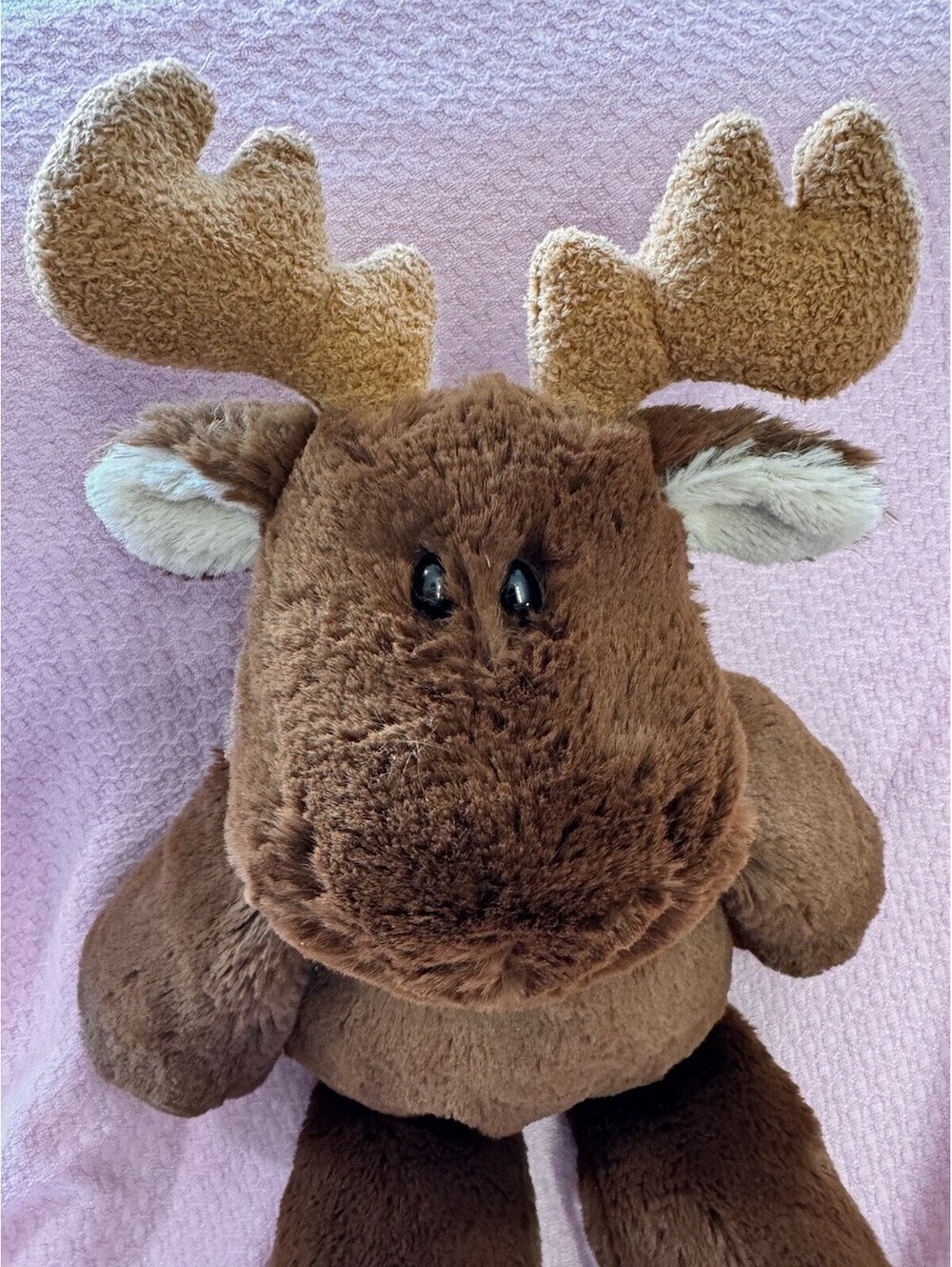 Brown Mary Meyer Moose Plush 14” Collectible EUC! Vermont!